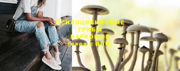 MESCALINE Волосово