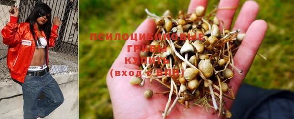 гидропоника Волоколамск