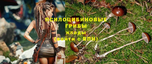 гашишное масло Шадринск